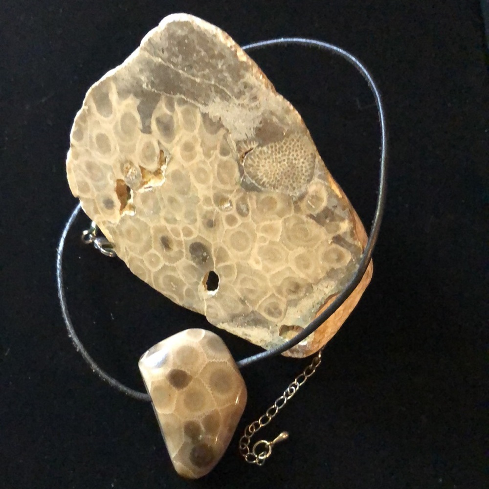 Artisan Petoskey Stone Leather Pendant